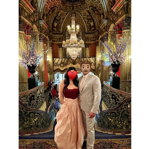 Carolina Herrera Pink Ball Skirt - Picture 2 of 13